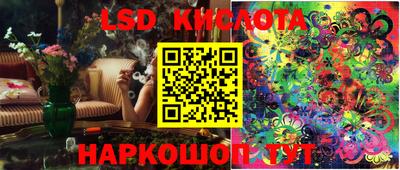 стафф Краснознаменск