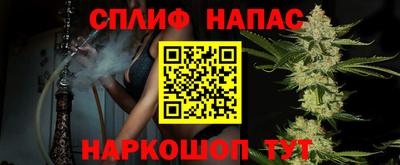 прущие грибы Краснодар