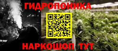 стафф Краснознаменск